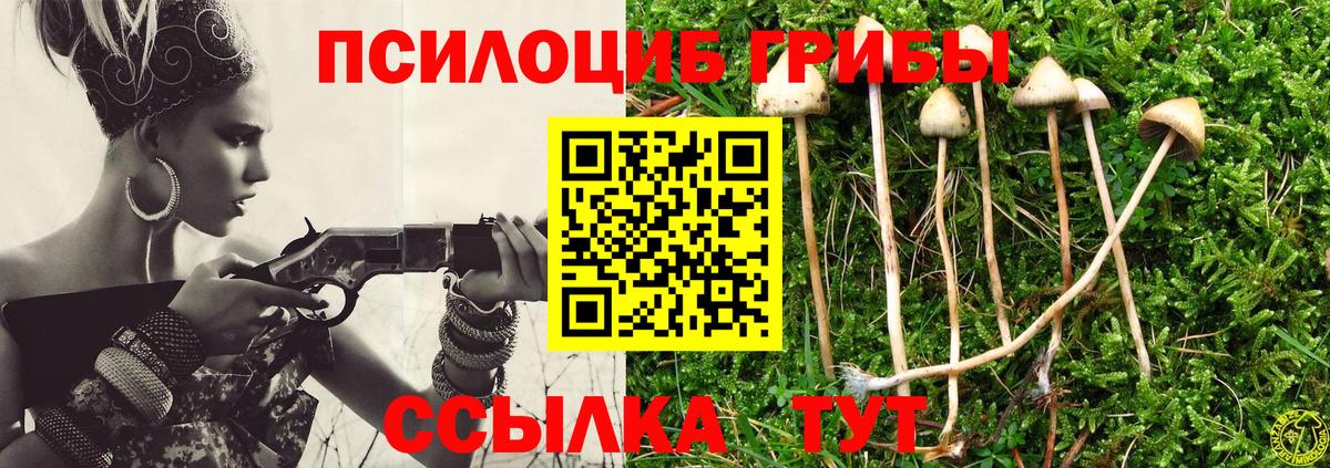 Галлюциногенные грибы Cubensis Чебоксары